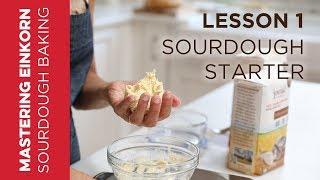 Einkorn Sourdough Starter - Mastering Einkorn Sourdough Baking : Lesson 1