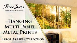 Hanging "Large As Life" Multi Panel Metal Prints