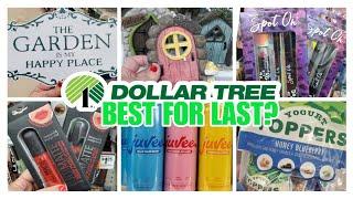 ‼️OMG THIS DOLLAR TREE SHOP WITH ME FOR 2025 MAY SEND US to DOLLAR TREE REHAB