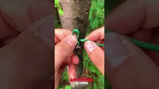 Convenient techniques for tying a clothesline to a nail