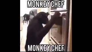 Monkey chief