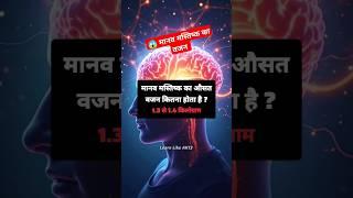 मानव मस्तिष्क का वजन कितना होता हैं।#shorts #viralshorts  #trandingshorts #gk #gkhindi