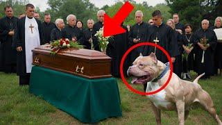 DOG BARKS AT THE COFFIN DURING FUNERAL WHEN A MAN ASKS WHY THE PRIEST GETS NERVOUS AND…