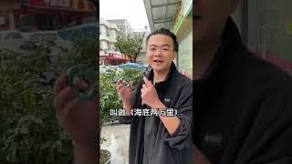 你没见过的冰蓝水的手镯，见到起货那一刻才懂它的美（2）