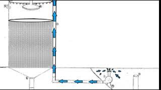 Process of The CyanoSystem