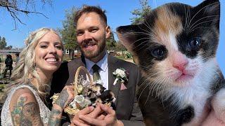 The Cutest Surprise at Our Animal-Friendly Wedding!