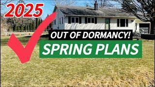 Initial Lawn Care Plan 2025 - Out of Dormancy