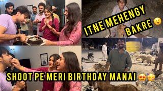 Shoot pe meri birthday manai ️ | Itne mehengy Bakre ?  | HamzaShykh