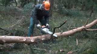 Stihl MS 211 Motorsäge, Kaltstart u. arbeiten am liegenden Holz, chainsaw cold start delimbing trees