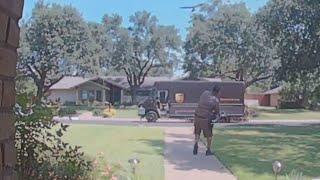 Videos capture dive-bombing birds chase away visitors, homeowners at North Dallas house