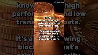 IN WHICH COINS IS BETTER TO INVEST?