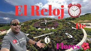 El Reloj Floral más grande de Puerto Rico | aibonito