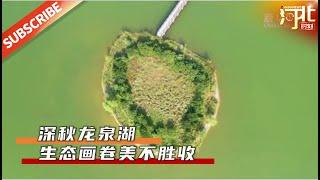 秋天的龙泉湖湿地公园：自然画卷的美丽盛宴！来源@新华社 |【地方旅游】| Hebei Moment 河北:精彩时刻的记录者