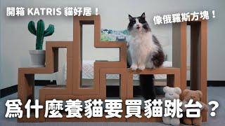 為什麼養貓需要買貓跳台？和那堤開箱KATRIS貓好居 ft. KATRIS EP120