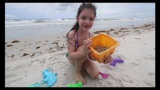 Fun Day At The Beach | Beach | Family Fun Day | Building Sandcastle | Finding Crabs | kids Fun