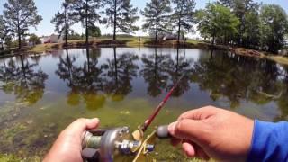 Bass Fishing with Shimano Cardiff 100a Round Bait Caster (Quick Test)