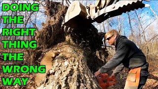 Turning a Massive Oak Tree into Firewood