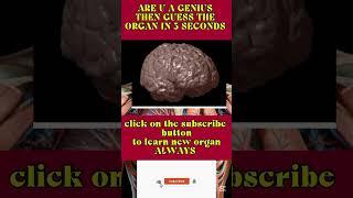 Guess the organ can u identify the brain ?mind blowing anatomy challenge #neuroscience #anatomy#quiz