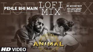 Pehle Bhi Main (Lo-Fi Mix) by DJ Moody | Ranbir Kapoor, Tripti Dimri, Vishal Mishra | Animal