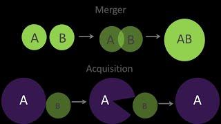 MERGERS AND ACQUISTION (ADVANCED FINANCIAL MANAGEMENT) - CPA