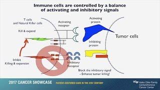 Immunotherapy: Unleashing the Body’s Natural Defense Systems to Fight Cancer