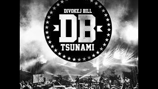 Divokej Bill - Tsunami (official video)