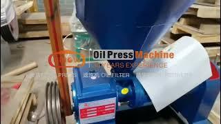 Guangxin YZYX70 Peanut Sunflower Soybean Oil Press with 50Kg/hour  #peanutoilmakingmachine #oilmill