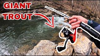 FISHING PA FOR GIANT TROUT ! (PA TROUT SEASON 2024)