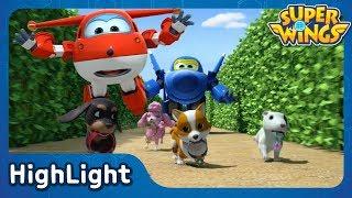 Come back! Puppy!! | SuperWings Highlight | S1 EP4