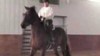 Horse bolting, bucking, rearing, leaping