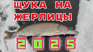 Щука на Жерлицы 2025.Рыбалка, как в Сказке. 100 процентный результат. 8паклёвок/8щук.