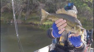 Brogo Dam Bass || Tinny Fishing