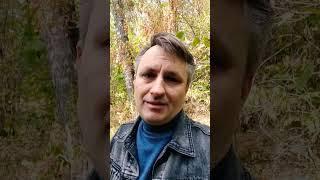 Это нужно сделать сразу после запуска рекламы на сайт или почему нет клиентов с сайта