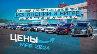 НОВЫЙ ПРИВОЗ АВТОМОБИЛЕЙ ОБЗОР СТОЯНКИ JAPAUTOBUY МАЙ 2024