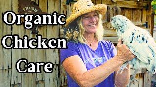 Raising Healthy Chickens Organically Part 1