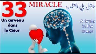 33 Miracle Un cerveau dans le Cœur -  A Brain in the Heart -  مخ في القلب