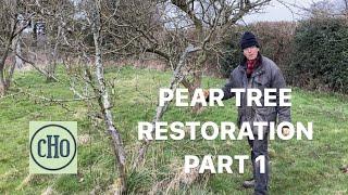 Pear Tree Restoration - Part 1