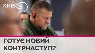 "Інакше це буде шоу, а не війна": Залужний прокоментував чутки про контрнаступ на 2024 рік