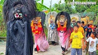 SERUU !! Arak Arakan Barongan Galak & Reyog Seni Barong Pandji Sabdha Jagad Keliling Desa Gedangdowo