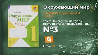 Задание 3 Почему мы не будем рвать...? - Окружающий мир 1 класс (Плешаков А.А.) 2 часть