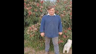 Angus Stewart   Feeding native plants