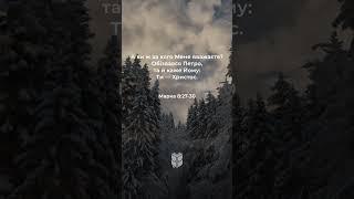 Марка 8:27-30 Сучасний переклад Біблії українською мовою Турконяка #shorts #biblevision