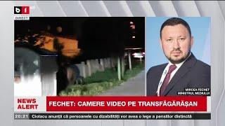 NOI INCIDENTE CU URȘII PE TRANSFĂGĂRĂȘAN. Știri B1TV_ 30 aug. 2024