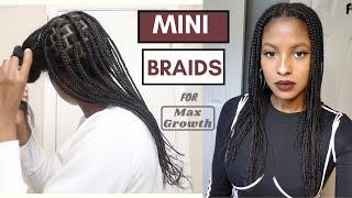 Mini Braid Protective Style on Natural Hair