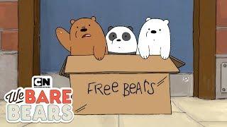 We Bare Bears | Potty Time (Hindi) | Minisode | Cartoon Network