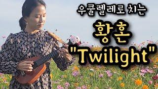 (Full)우쿨렐레 27개월차 실력 | 황혼(Twilight) 완곡 했어요. | 야 오주부 너도 이 곡 칠 수 있어 | 황혼 우쿨렐레 커버