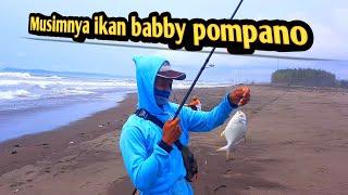 Mancing ikan baby pompano pantai bunton cilacap