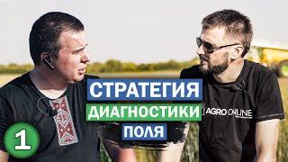 Стратегия диагностики поля | Агробизнес без цензуры