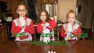 Hatchimals | Izzy. Layla. Lexi open their Christmas gift