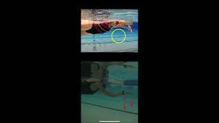 Video analysis of the catch phase in freestyle